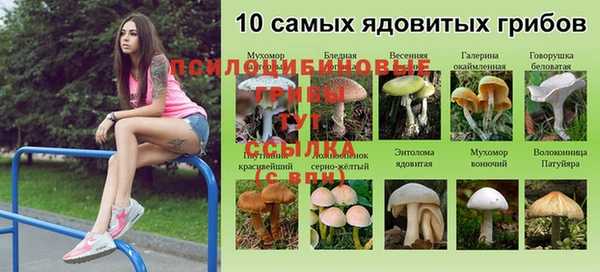 эйфоретик Балабаново
