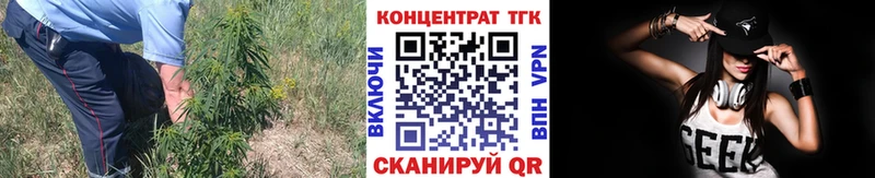 Дистиллят ТГК Wax  Певек 