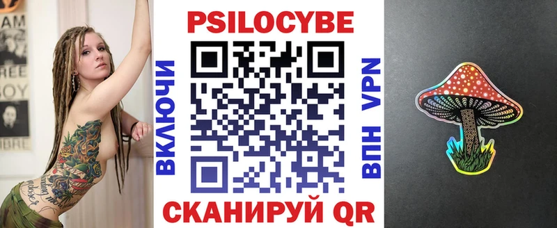 Псилоцибиновые грибы мицелий  hydra как войти  Певек  где продают наркотики 